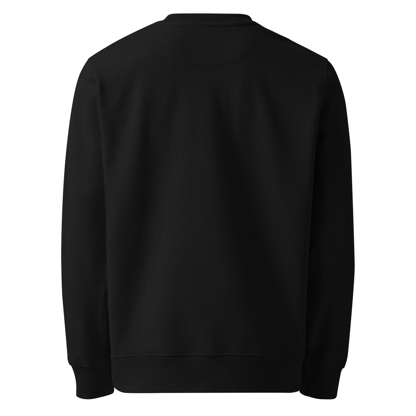 Rear view of the black Aether Peak Starry Sky organic cotton sweatshirt on a white background.
