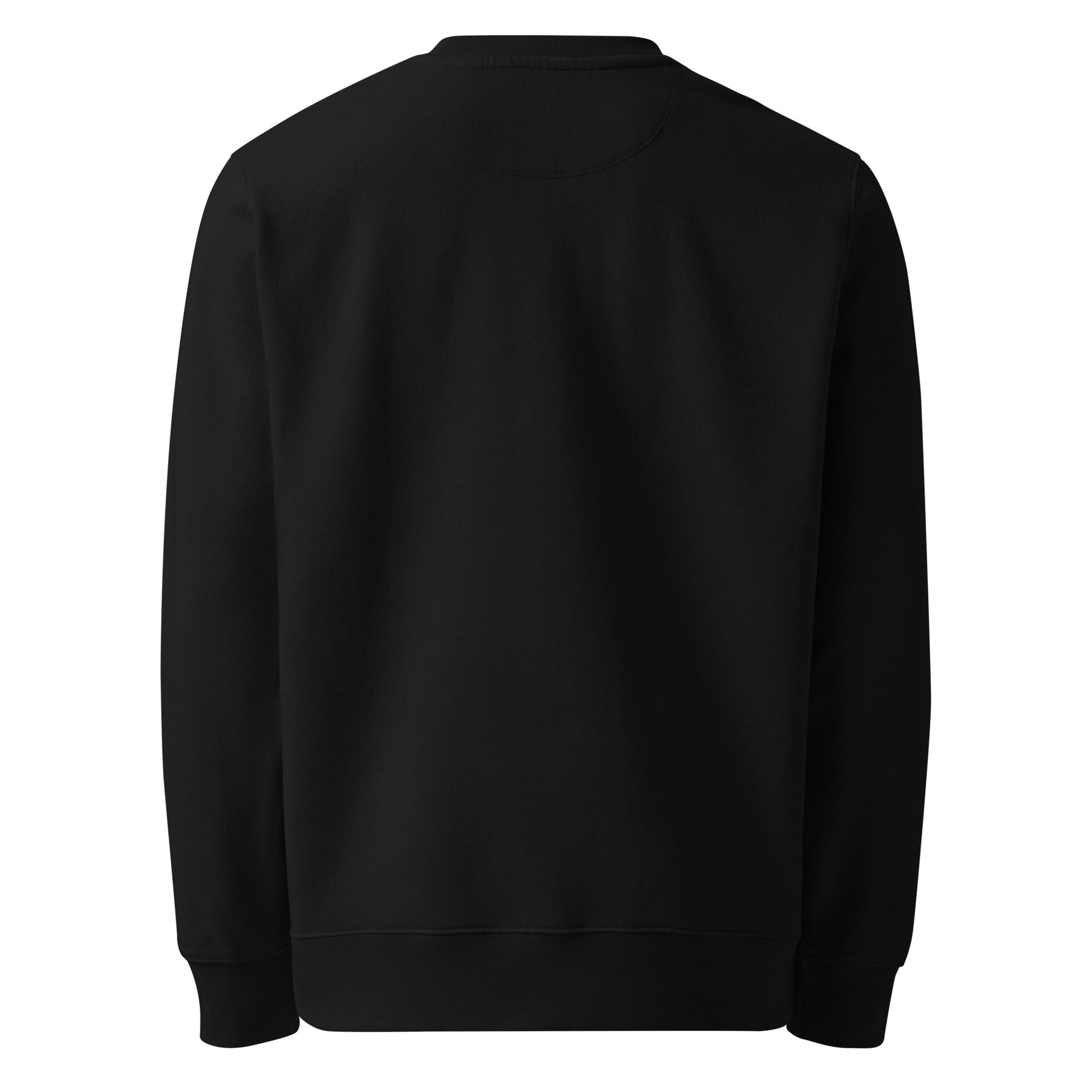 Rear view of the black Aether Peak Starry Sky organic cotton sweatshirt on a white background.