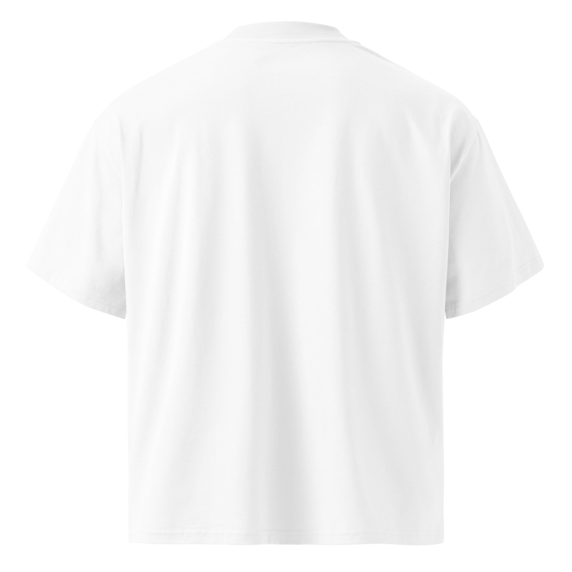 Back view of white Aether Peak organic cotton oversized t-shirt on a white background
